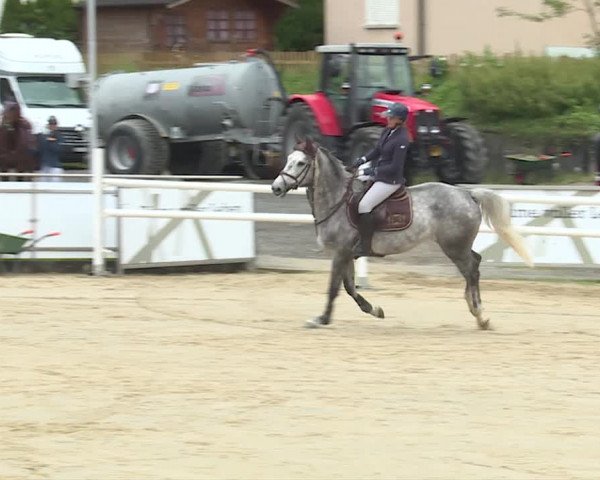 Reitturnier Schwyz 2020