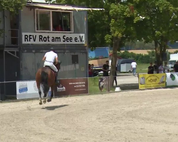 Reitturnier Rot am See- Musdorf 2020