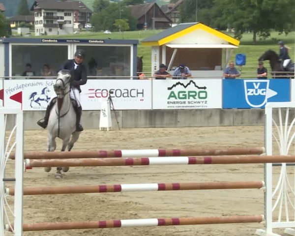 Reitturnier Schwyz 2020