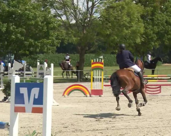 Reitturnier Rot am See- Musdorf 2020