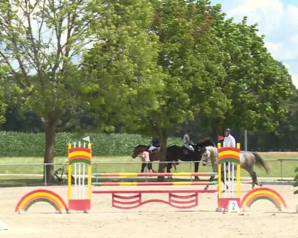Reitturnier Rot am See- Musdorf 2020