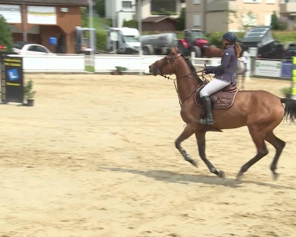 Reitturnier Schwyz 2020