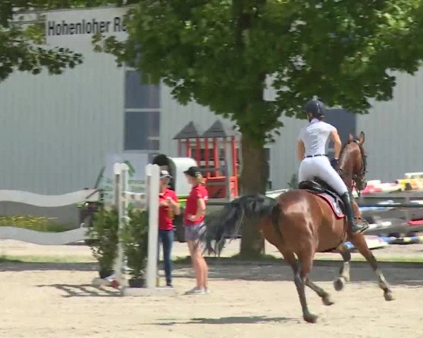 Reitturnier Rot am See- Musdorf 2020
