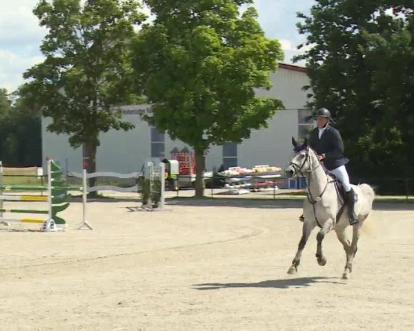 Reitturnier Rot am See- Musdorf 2020