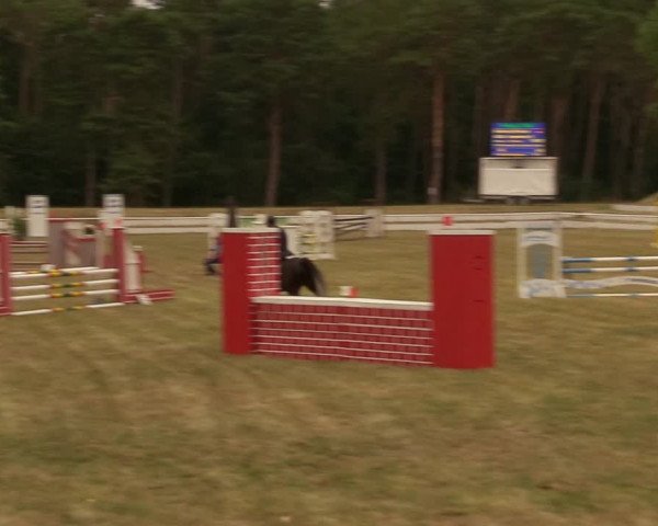 Reitturnier Wörmlitz 2020