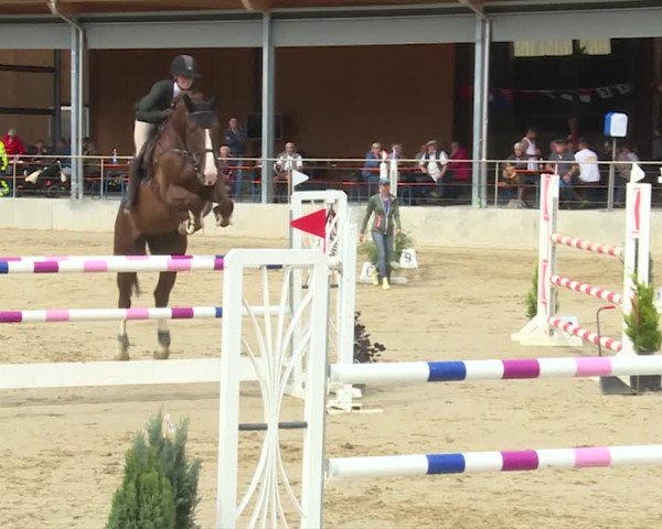 Reitturnier Schwyz 2020