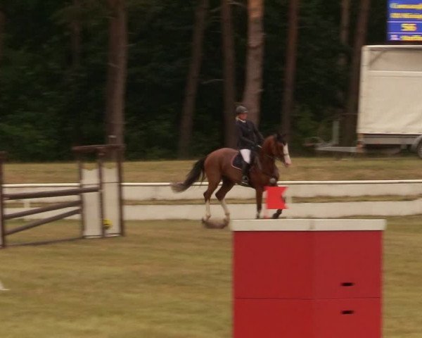 Reitturnier Wörmlitz 2020