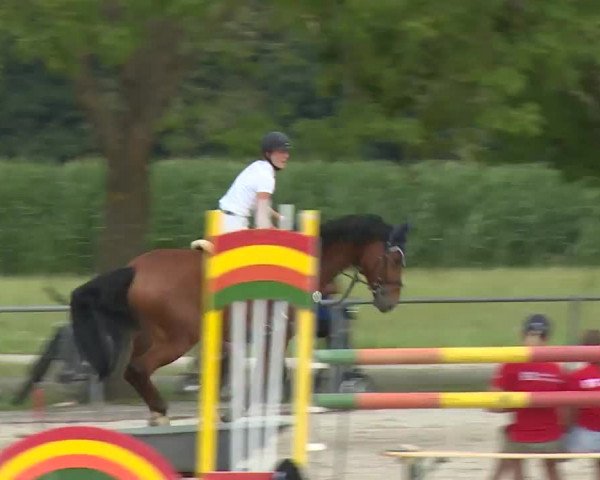 Reitturnier Rot am See- Musdorf 2020