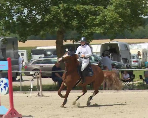 Reitturnier Rot am See- Musdorf 2020