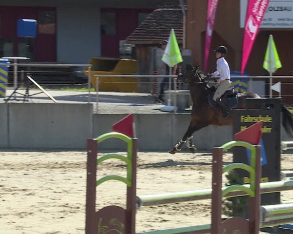 Reitturnier Schwyz 2020