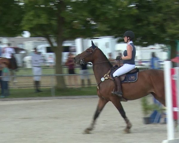 Reitturnier Rot am See- Musdorf 2020