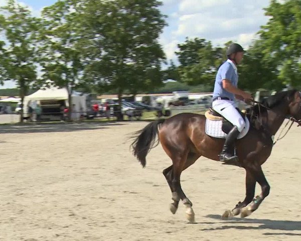 Reitturnier Rot am See- Musdorf 2020
