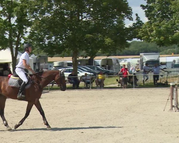 Reitturnier Rot am See- Musdorf 2020