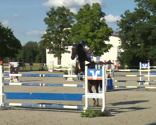 Reitturnier Rot am See- Musdorf 2020