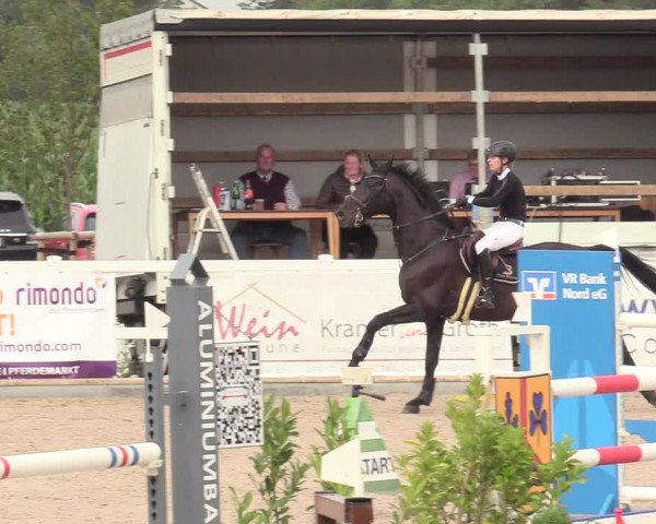 Reitturnier Ladelund 2020