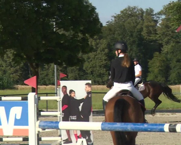 Reitturnier Rot am See- Musdorf 2020