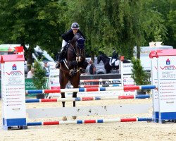 jumper Gsi Sir Dominator (Westphalian, 2017, from Dominator 2000 Z)