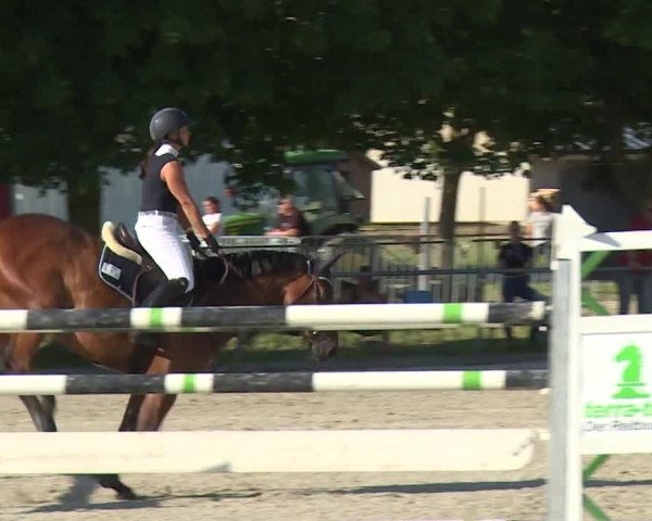 Reitturnier Rot am See- Musdorf 2020