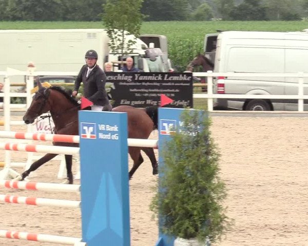 Reitturnier Ladelund 2020