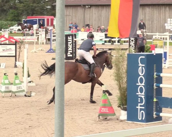 Reitturnier Ladelund 2020