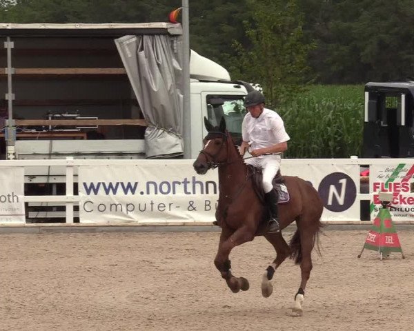 Reitturnier Ladelund 2020