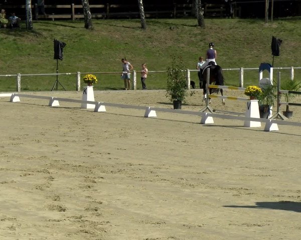 Reitturnier Reilingen 2021