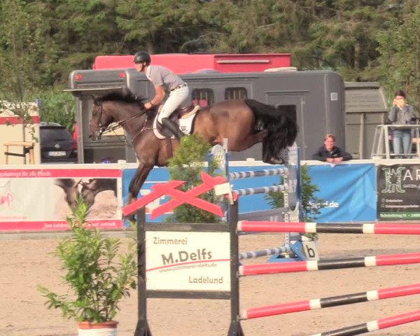 Reitturnier Ladelund 2020