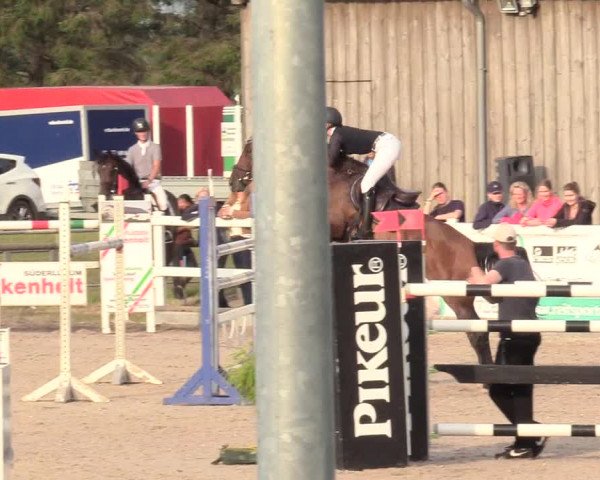 Reitturnier Ladelund 2020