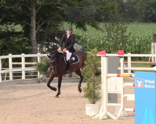 Reitturnier Ladelund 2020