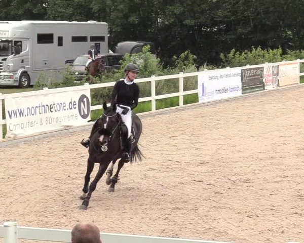 Reitturnier Ladelund 2020