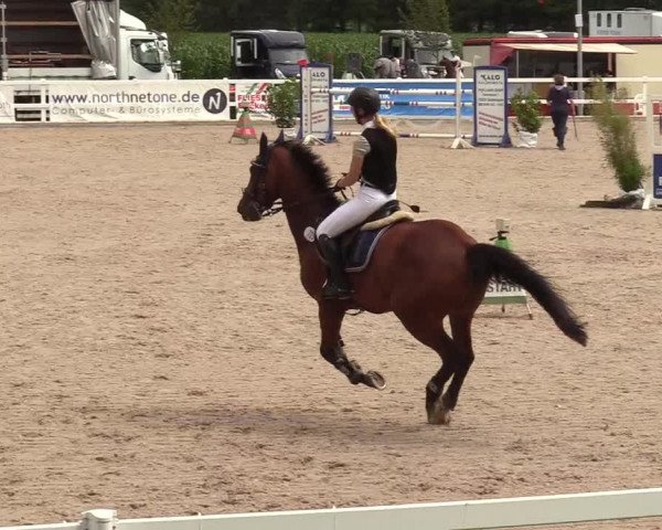 Reitturnier Ladelund 2020