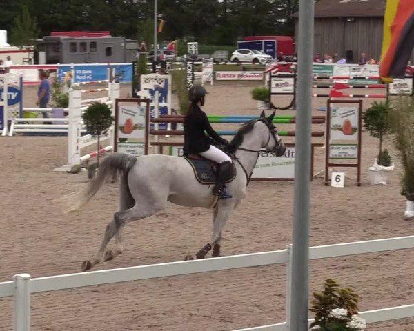 Reitturnier Ladelund 2020