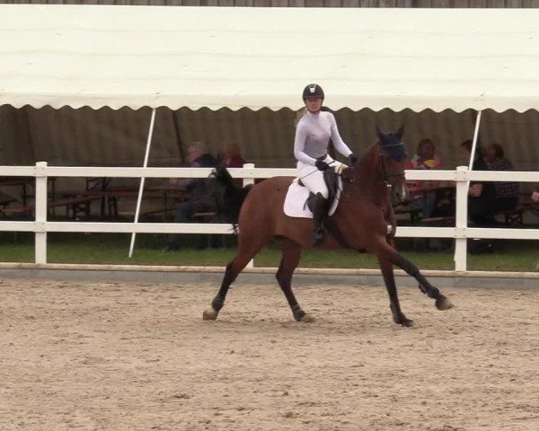 Reitturnier Ladelund 2020