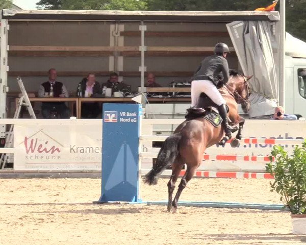 Reitturnier Ladelund 2020