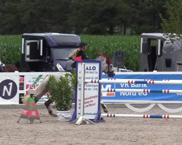 Reitturnier Ladelund 2020