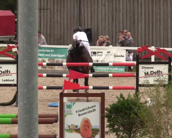 Reitturnier Ladelund 2020