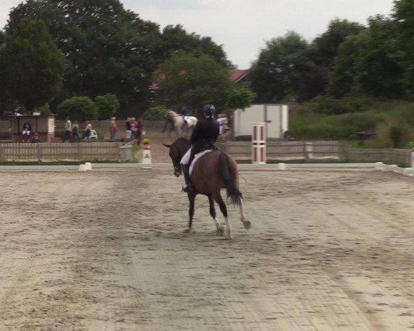 Reitturnier Schülp / Rendsburg 2020