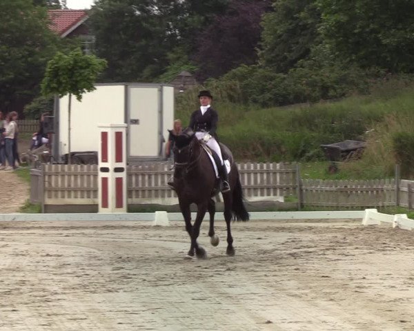 Reitturnier Schülp / Rendsburg 2020