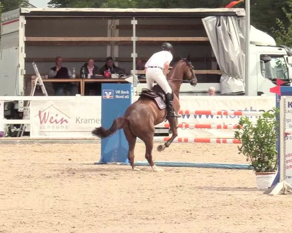 Reitturnier Ladelund 2020