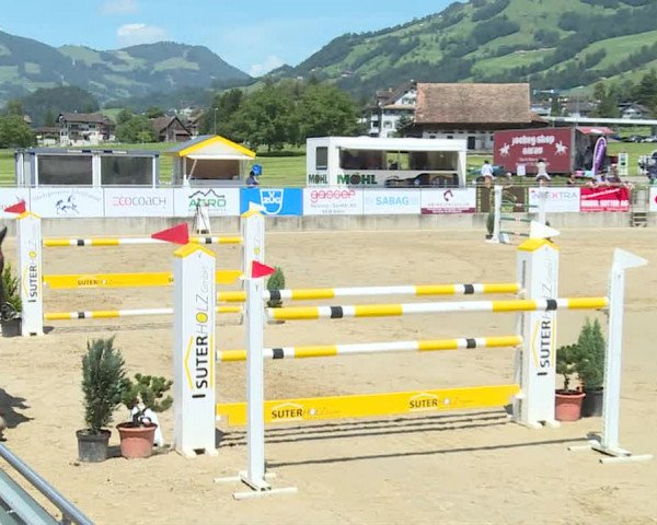Reitturnier Schwyz 2020