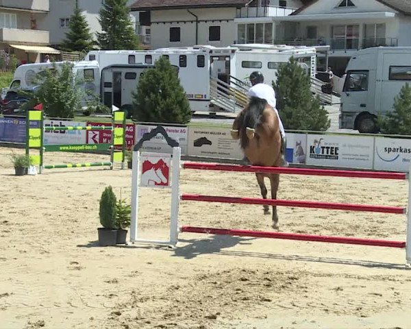 Reitturnier Schwyz 2020