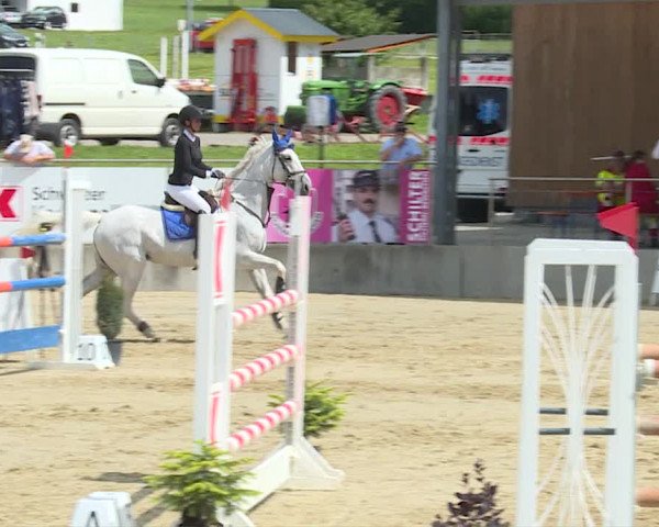 Reitturnier Schwyz 2020