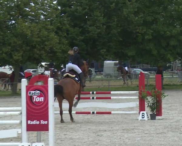Reitturnier Rot am See- Musdorf 2020