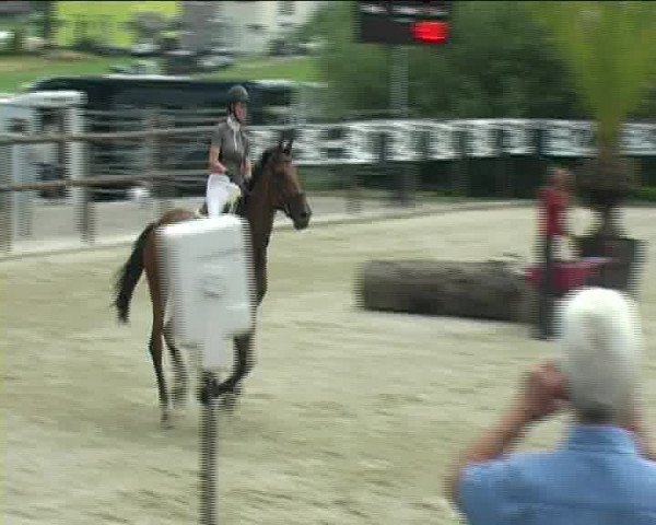 Reitturnier Bättwil 2020