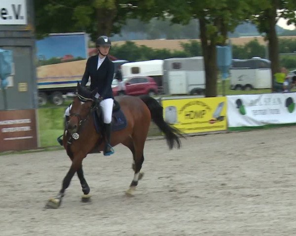 Reitturnier Rot am See- Musdorf 2020