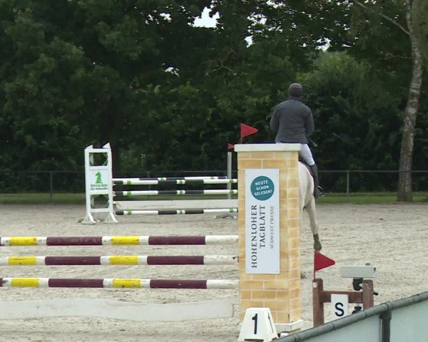 Reitturnier Rot am See- Musdorf 2020