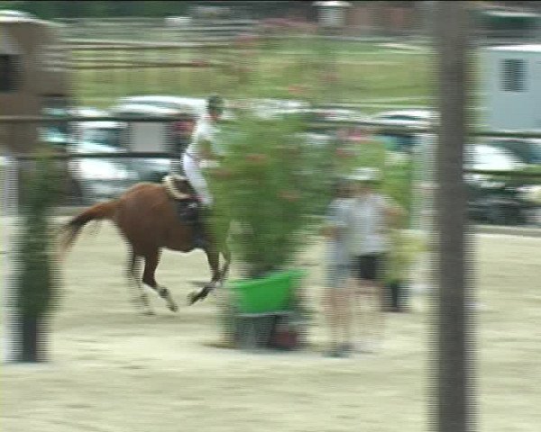 Reitturnier Bättwil 2020