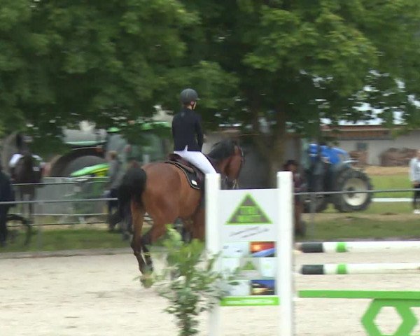 Reitturnier Rot am See- Musdorf 2020