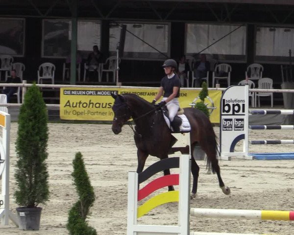 Reitturnier Vlotho-Exter 2020