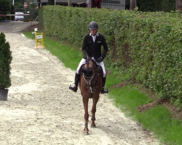 Reitturnier Vlotho-Exter 2020